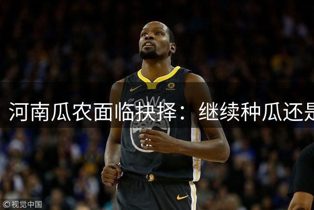 河南瓜农面临抉择：继续种瓜还是转型？
